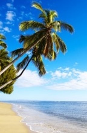 Obituary of Lorie Lamont