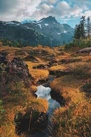 Obituary of Enrique Lopez Jr.