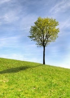 Obituary of Donald Arthur Charles Harris