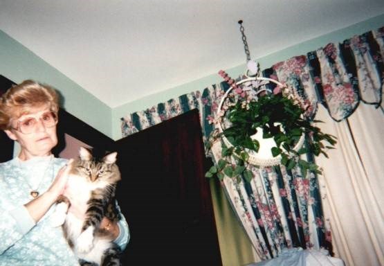 Obituary of Dorothy A. Wunsch