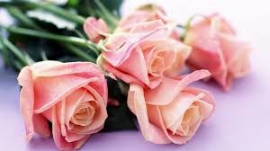 Obituary of Mariamma Philipose