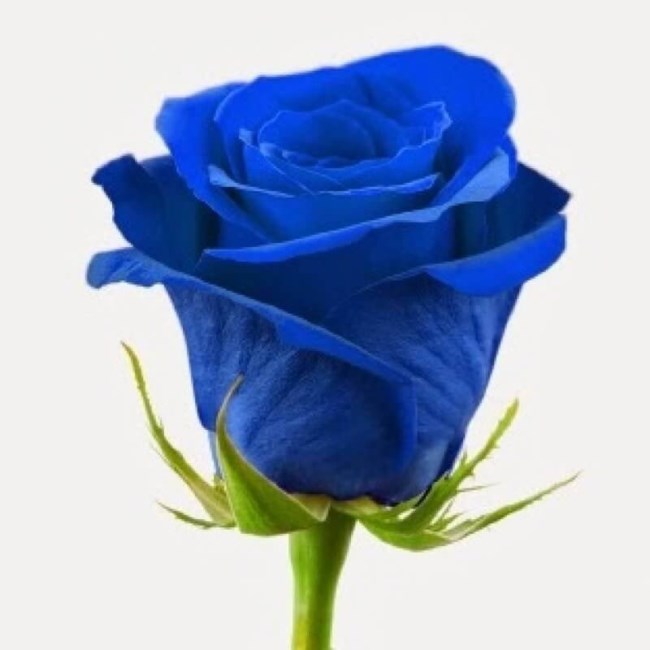 Obituary of Billy Joe Beck