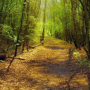 Obituary of Mike Evans