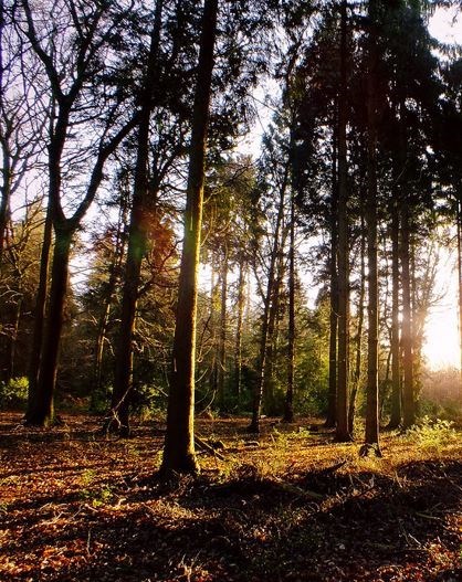 Obituary of John Daniel Caraway