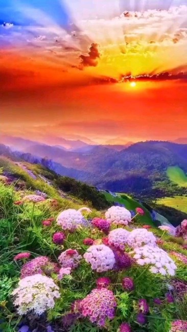 Obituary of Karen Lee Daley-Smith