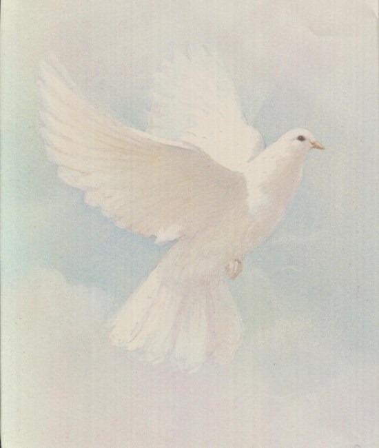 Obituary of Angel Pabón Rodríguez