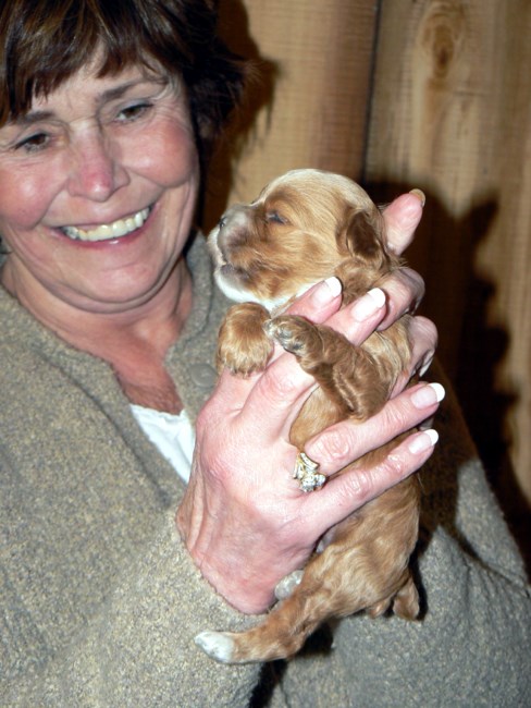 Obituary of Cheryl Ann Berce