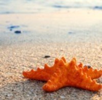 Obituary of Maria Teresa Reyes Torres