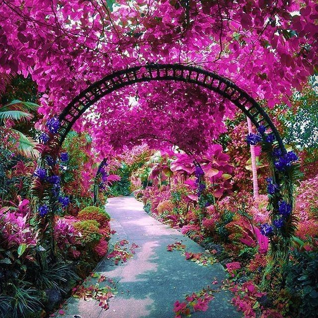 Obituary of Cleda Faye Johnson