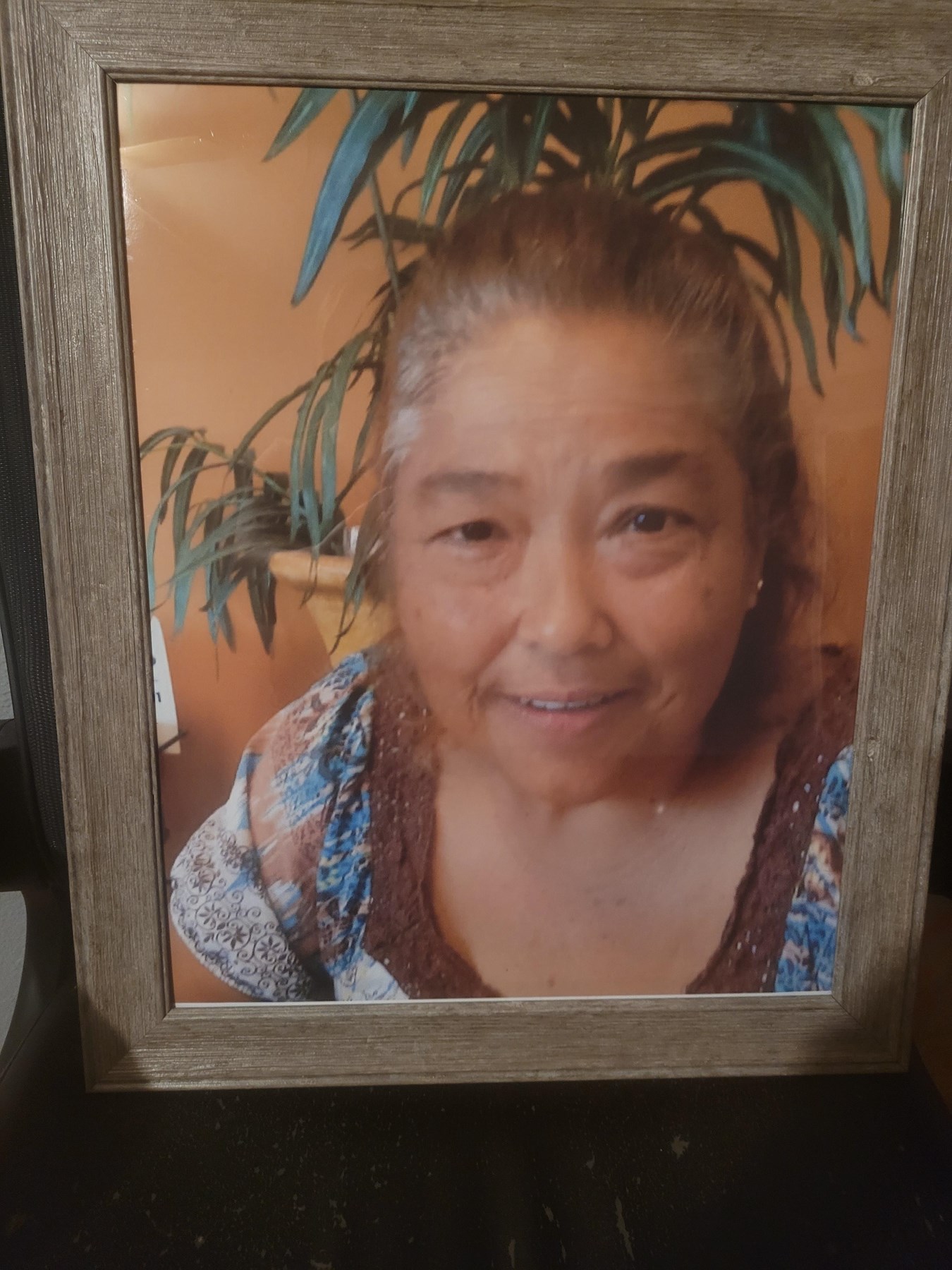 Obituary of Alicia V. Amaya