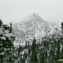 Obituary of Irene Hayter Williams