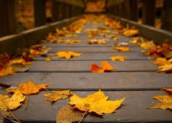 Avis de décès de William Fredrick Schumacher