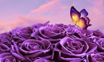 Obituary of Maria Elena Rodriguez