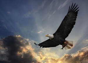 Obituary of Betty Ann Broughton