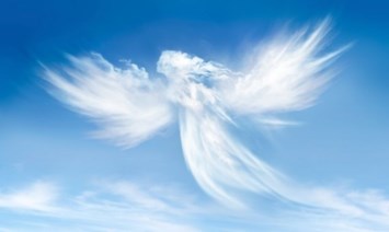 Obituary of Nishka Aashish Patel