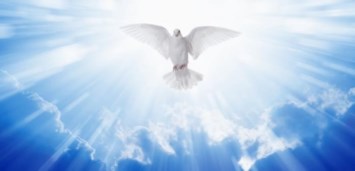 Obituary of Marjorie Jean Blashill