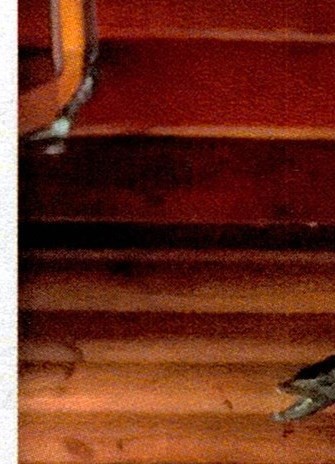 Troy Record Obituaries Archives