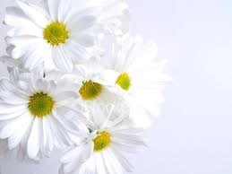 Obituary of Barbara Hopson