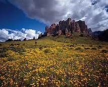 Obituary of Rick Elmer Anderson