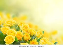 Obituary of Mrs. Freddie Diane Jones