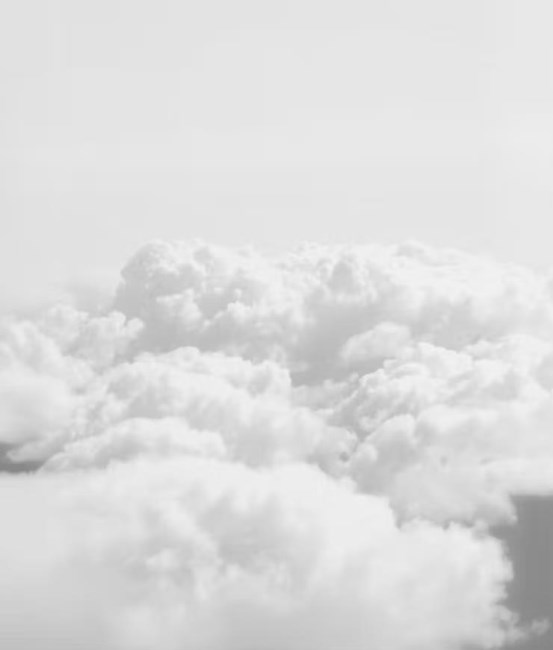 Obituary of Anthony John Parino