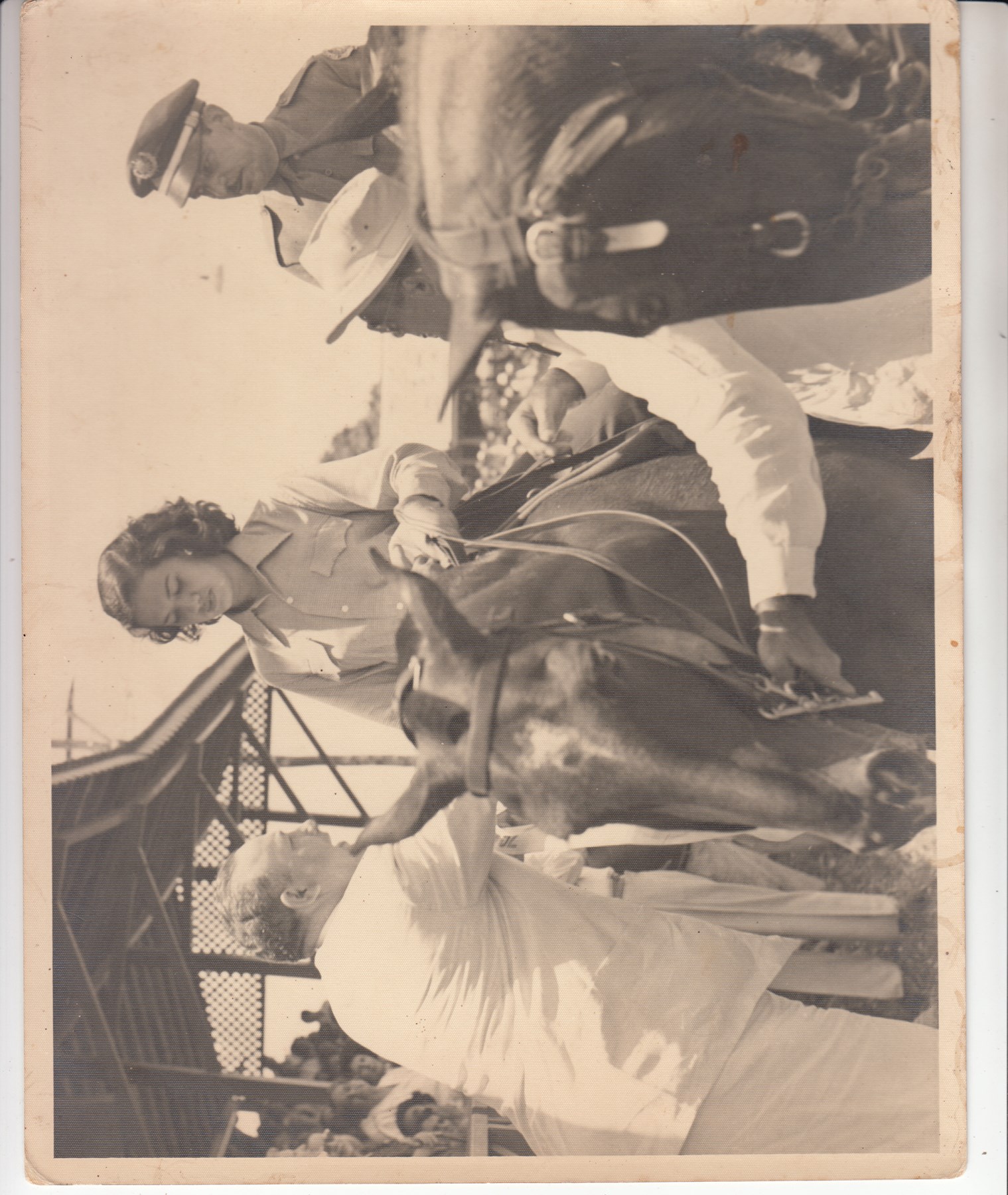 Obituary of Berenice Sueiro Acosta