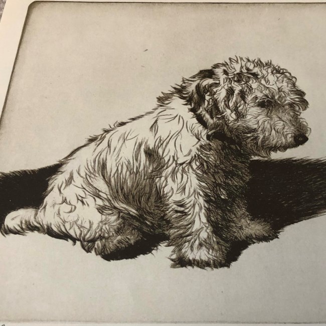 Obituary of Judith Ann Clark