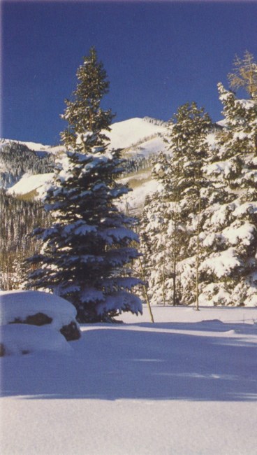 Obituary of William Stanley Currie