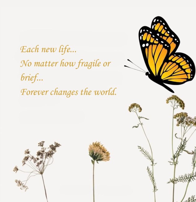 Obituary of Emiliana Anita Fisher
