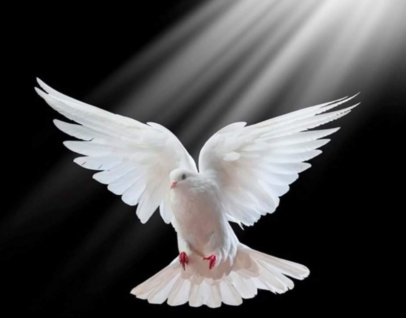 Obituary of Ruth Arredondo Perez