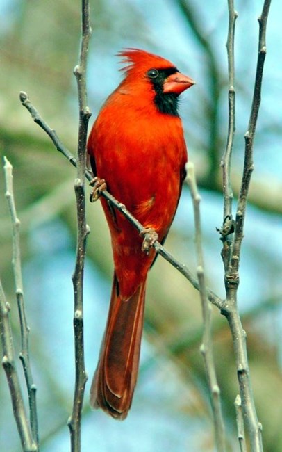 Obituary of Margaret Murtha