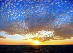 Obituary of Albert Gallo