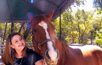 Obituary of Lynne Marian Sanderson