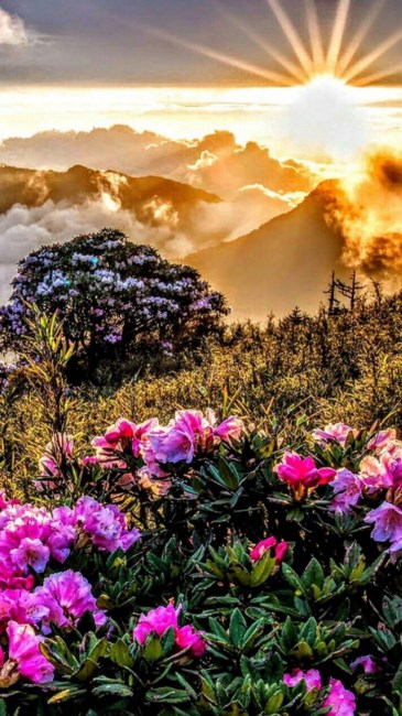 Obituary of Glynice Rae Watson