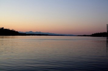 Obituary of Vicki Lynn Scott