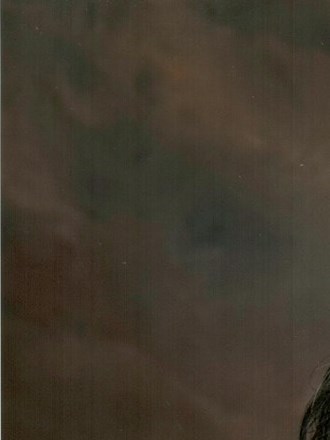 Tuscaloosa Memorial Funeral Home