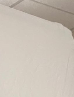 Ruth Adams Obituary - Springfield, IL