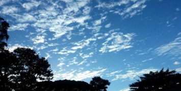 Obituary of Lin Tang Auyeung