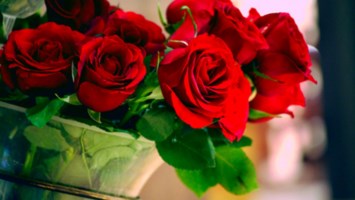 Obituary of Elvira Bloodgood