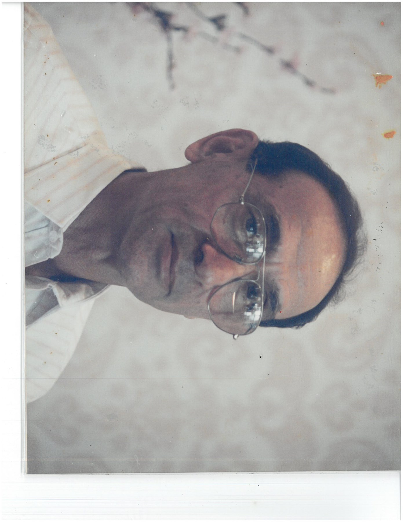 Obituary of Vito Vincent Tripi Sr.