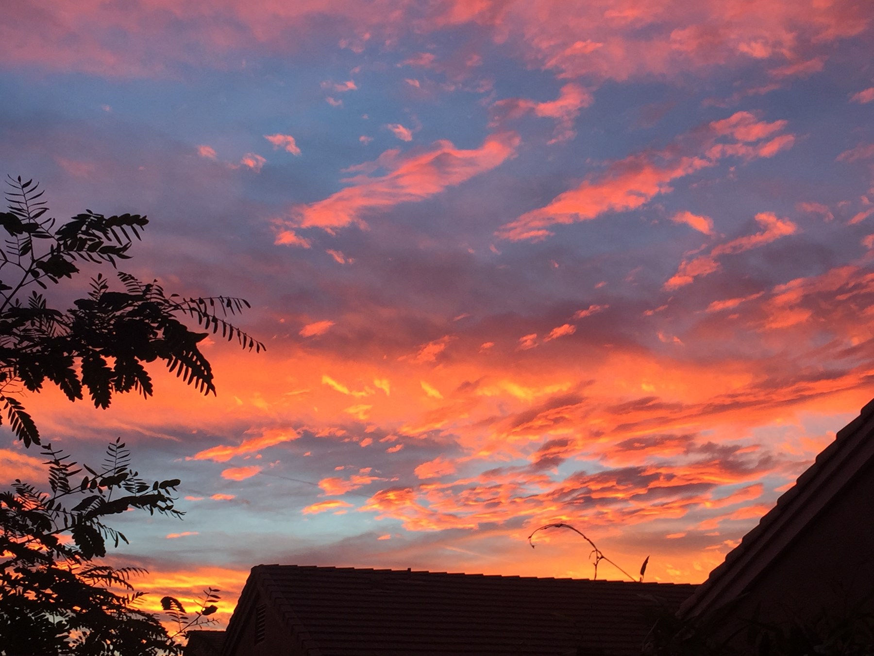 Obituario de Patsy Irene Lewis