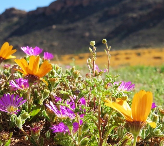 Avis de décès de Ashley Nicole Malok