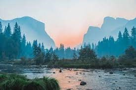 Obituary of Genevieve Andree Brown