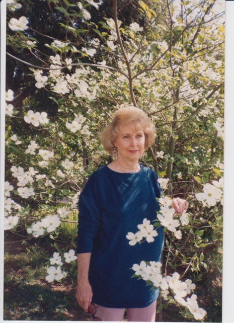 Obituary of Dixie Ann Rose