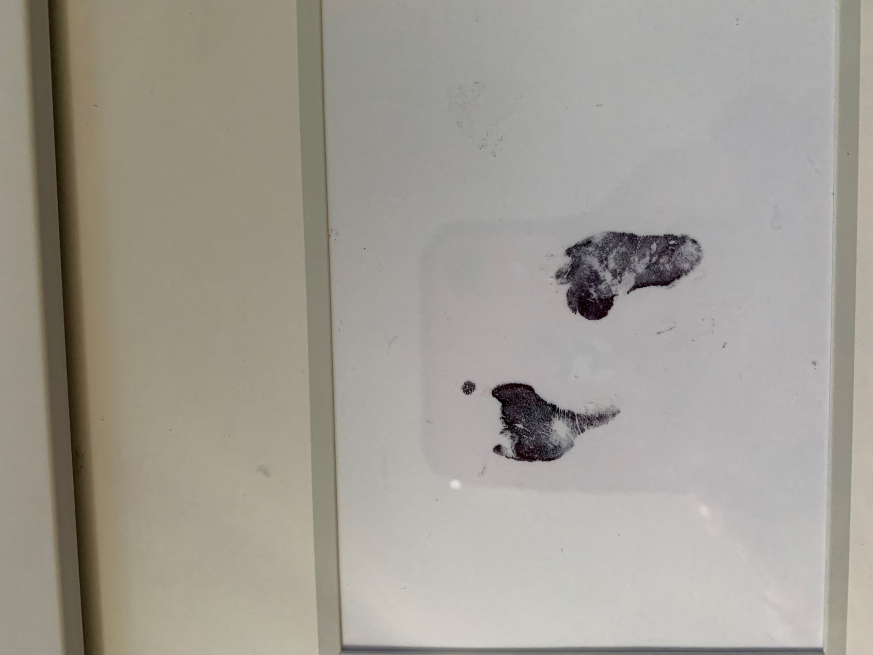 Obituary of Luis Angel Barrera