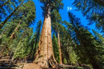 Obituary of Gene Edward Johnson