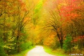 Obituary of William Bertrand "Bert" Sewell