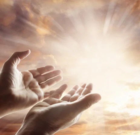 Obituary of George Donald Janus