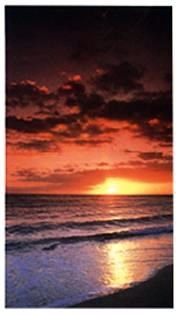 Obituary of William McArdle