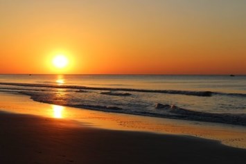 Obituary of George Michael Holmes